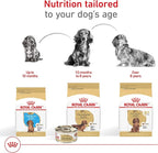 Royal Canin Breed Health Nutrition Dachshund Puppy Dry Dog Food, 2.5 lb Bag