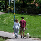 Dog Water Bottle with Food Container & Poop Bag Holder, Travel Water Bowl, Portable Pet Dispenser, Girl Dog Accessories Stuff Items Essentials Gift for Yorkie Chihuahua Walking Hiking