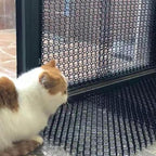 10 Pack Cat Scat Mat – 16.93 x 13.78 Inch Flexible Plastic Spike Mats, Cat Deterrent Pad for Indoor Outdoor Furniture & Garden Use, Keep Cats Out of Yard ﻿ (Black)