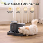 Gravity Cat Feeder and Water Dispenser, 2 in 1 Automatic Cat Feeder with 180 Degree Rotatable, 2 Pack Large Capacity Self Feeding for Small Medium Dog Puppy Kitten, Grey, 0.8 Gallon x 2
