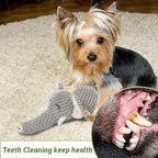 Plush Dog Toy, Squeaky Interactive Puppy Dog Toys with Crinkle Paper, Durable Chew Toys for Small and Medium Dogs with Mouse Shape(Medium, Elephant)