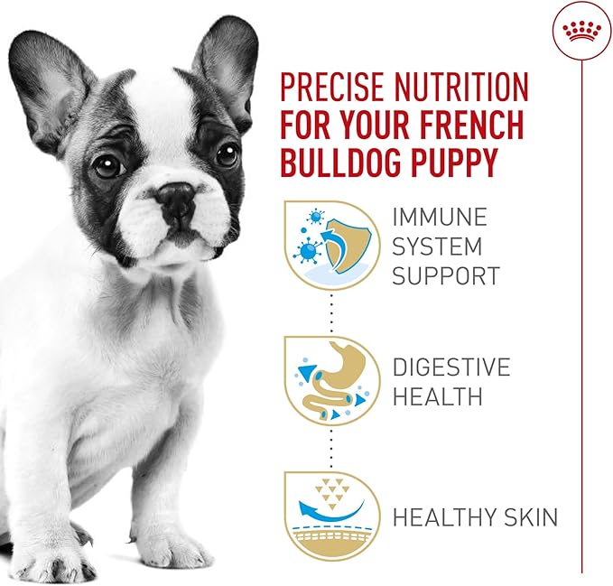 Royal Canin Breed Health Nutrition French Bulldog Puppy Dry Dog Food, 3 lb Bag