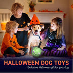 QDAN Halloween Dog Toys Soccer Ball: Premium Dog Soccer Balls with Straps- Outdoor Herding Balls Toys for Small Medium Dogs- Puppy Pet Birthday Gifts- 6 Inch Purple Green