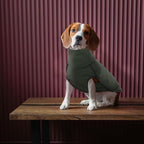 ROZKITCH Dog Winter Coat Soft Pullover Pajamas, Pet Windproof Warm Cold Weather Jacket Vest Cozy Onesie Jumpsuit Apparel Outfit Clothes for Small, Medium, Large Dogs Walking Hiking Travel Sleep Green