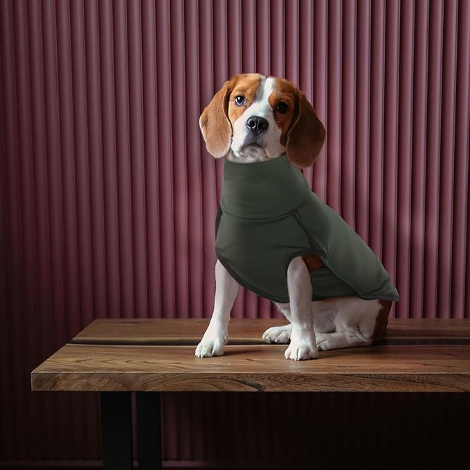 ROZKITCH Dog Winter Coat Soft Pullover Pajamas, Pet Windproof Warm Cold Weather Jacket Vest Cozy Onesie Jumpsuit Apparel Outfit Clothes for Small, Medium, Large Dogs Walking Hiking Travel Sleep Green