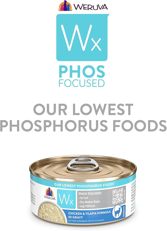 Weruva Wx Phos Focused Chicken and Tilapia Formula in Gravy 5.5oz Can, Pack of 8