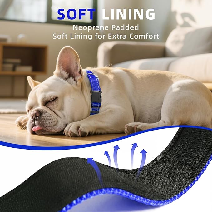 Reflective Dog Collar, Soft Neoprene Padded Nylon Pet Collar with Quick-Release Buckle, No-Choke Design Adjustable for Puppy Dogs,Navy Blue,XS