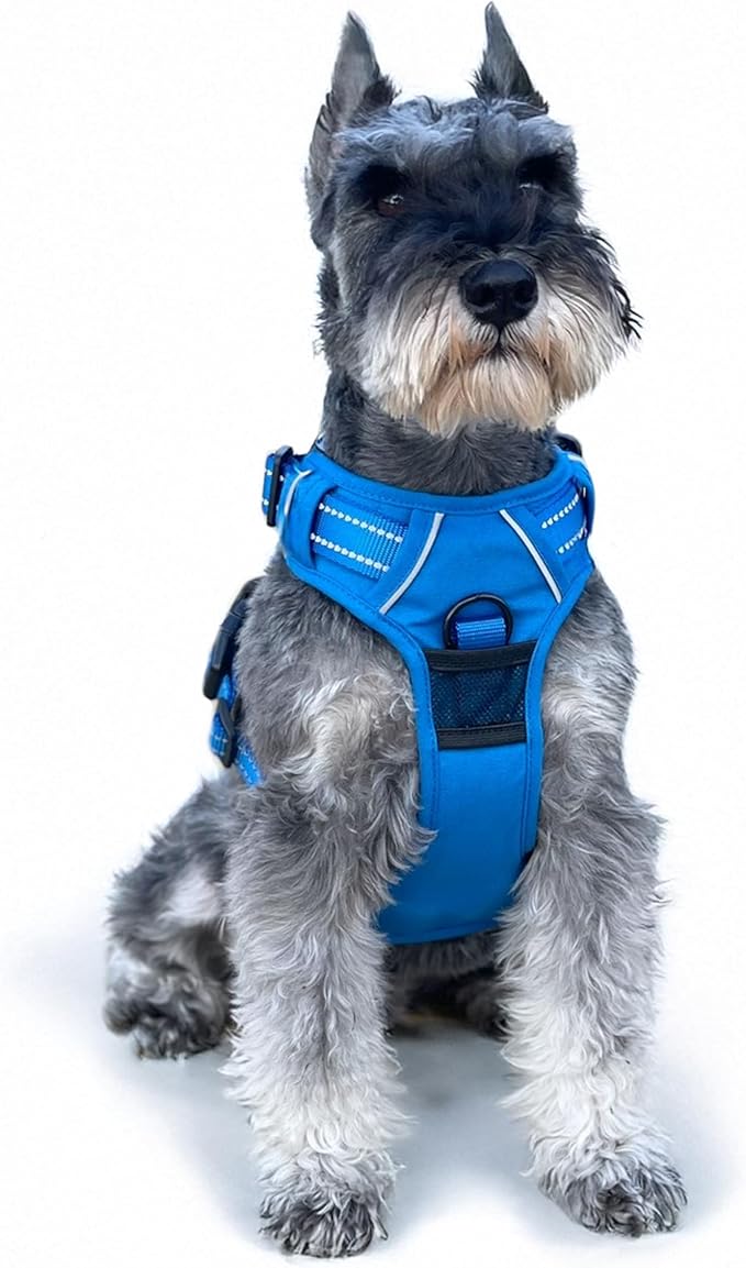 Doggie Design Venture Paw No Pull Dog Harness - Simple Adjustable Puppy Harness - Anti Pull Dog Collar for Walks and Outdoor Adventures - Mountain Lake, M