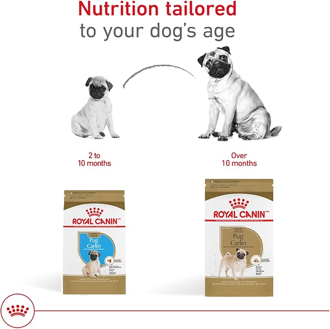 Royal Canin Breed Health Nutrition Pug Adult Dry Dog Food, 10 lb Bag