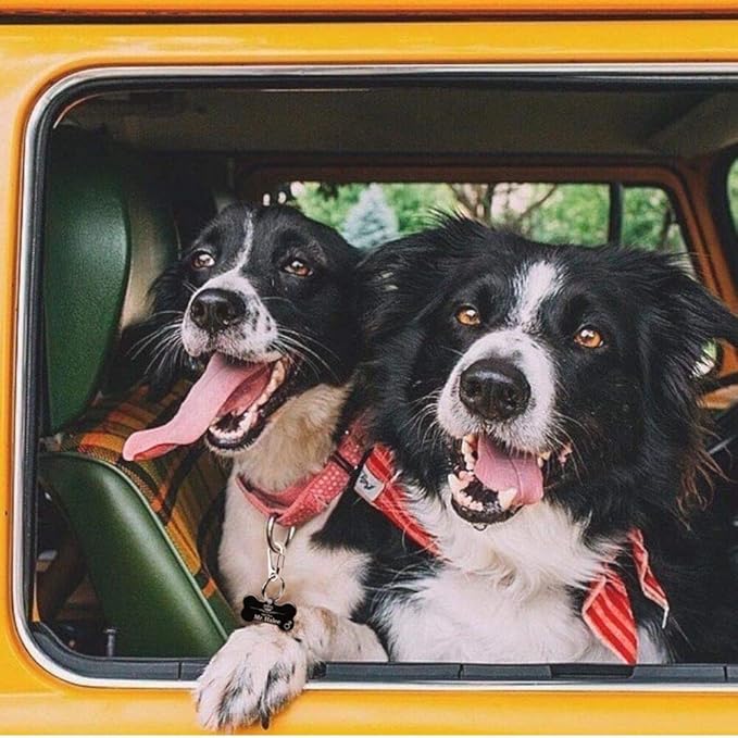 COMTIM 2 Pack Dog Tag Clips, Stainless Steel Heavy Duty Quick Clips Pet ID Tag Holder for Dog/Cat Collar and Harness