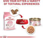 Royal Canin Feline Health Nutrition Kitten Thin Slices in Gravy Cat Food, 3 oz (Pack of 24)