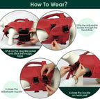 Kuoser Dog Life Jacket High Flotation, Reflective Dogs Life Vest for Swimming Boating, Adjustable Small Medium Large Dog lifejacket, Lightweight Dogs Life Preserver Rescue Handle Spring Summer Pool