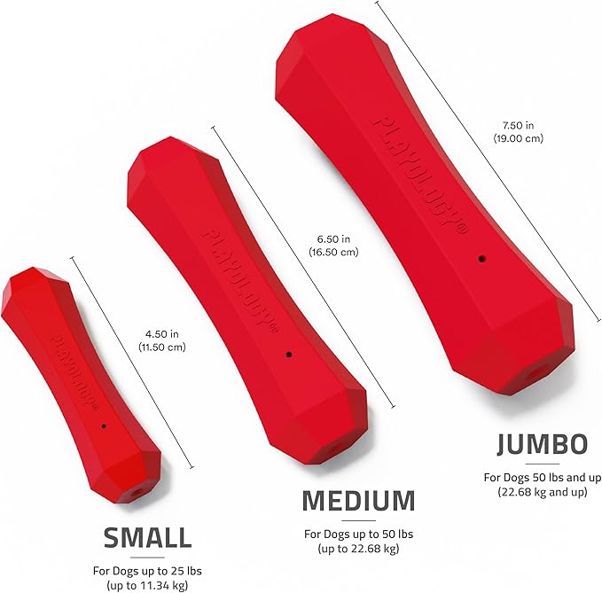 Playology Squeaky Dog Toy Fetch Stick | Durable Rubber Toys for Interactive Play | Beef Scented Fetch Stick for Medium Dogs | Floating Dog Toy Made from Non Toxic Materials