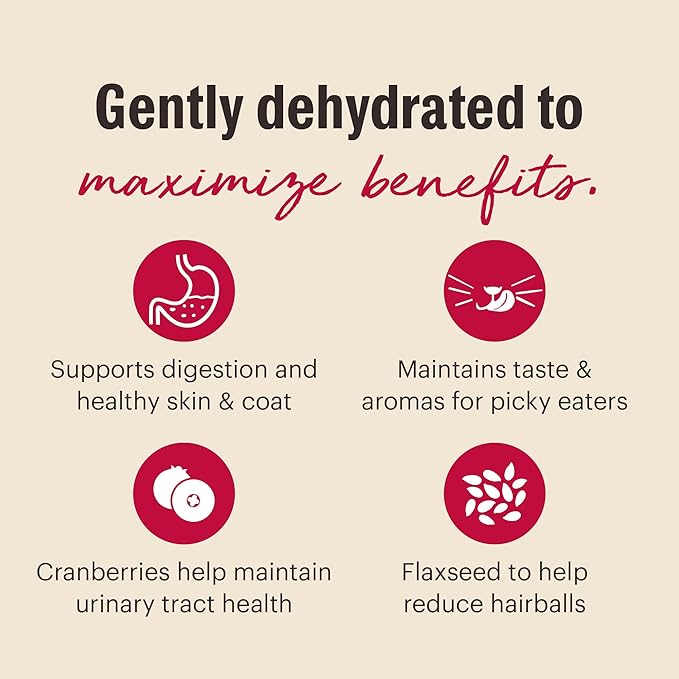 The Honest Kitchen Dehydrated Grain Free Chicken & Fish Cat Food, 4 lb Box