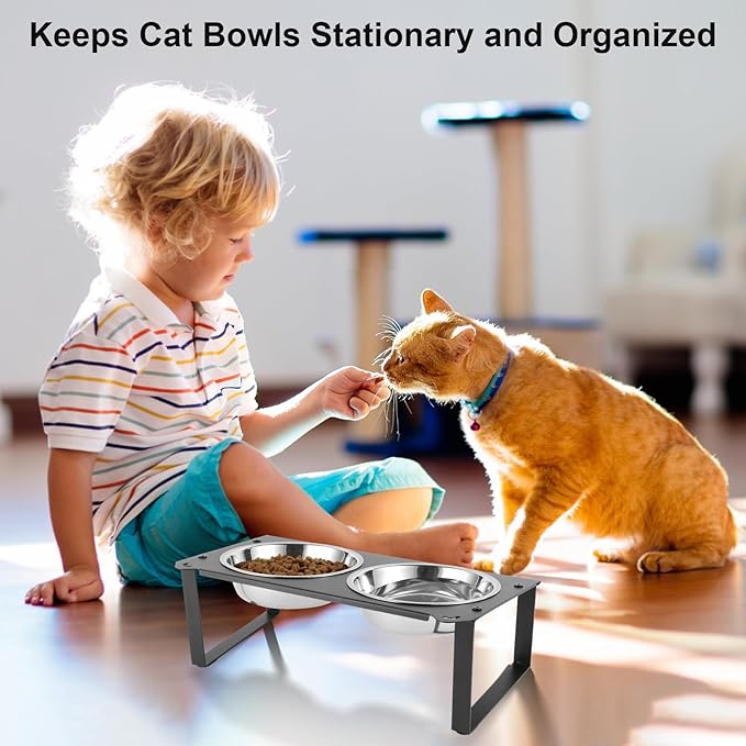 2 Set Elevated Cat Food Water Bowls, 4 Stainless Steel Bowls for Indoor Pet with Cute Metal Stand, 10° Tilted Anti-Vomiting Wide Shallow Raised Cat Dishes Whisker Friendly for Multiple Kitten,Puppy
