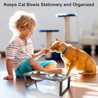 2 Set Elevated Cat Food Water Bowls, 4 Stainless Steel Bowls for Indoor Pet with Cute Metal Stand, 10° Tilted Anti-Vomiting Wide Shallow Raised Cat Dishes Whisker Friendly for Multiple Kitten,Puppy