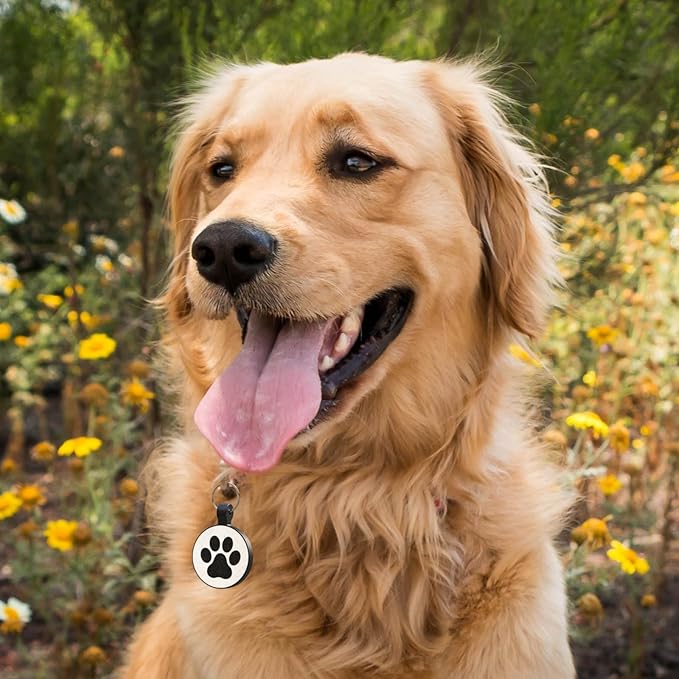 MYLUCKYTAG Silent Silicone QR Code Dog Tags - Scan QR, Receive Instant Pet Location Alert Email