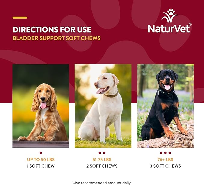 NaturVet Bladder Support Plus Cranberry for Dogs, 60 ct Soft Chews, Made in The USA with Globally Source Ingredients