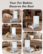 Automatic Dog Water Bowl Dispenser with Patented Faucet - 8L Large Gravity Cat Water Dispenser with Filter & Adjustable Base, Wide Mouth for Easy Clean, BPA-Free, Stainless Steel Pet Waterer for Pets