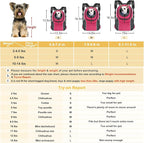 WOYYHO Pet Dog Carrier Backpack Small Dog Front Backpack Ventilated Dog Carrier Back Pack with Storage Pockets, Adjustable Straps & Safety Belt for Travel Hiking Outdoor (Size M: 5-9 lbs, Rose)