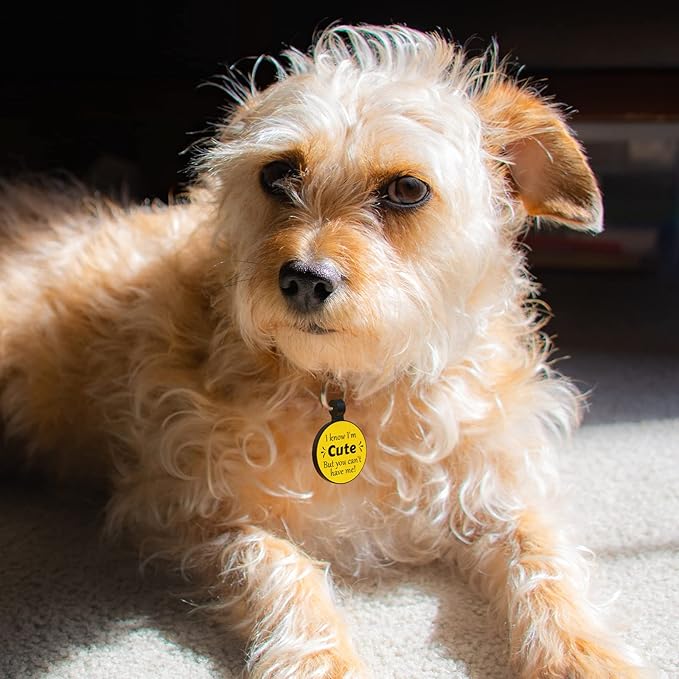 MYLUCKYTAG QR Code Silicone Dog & Cat ID Tag, Engraved, Durable, Digital, Quiet, Online Pet Profile, Email Alerts