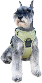 Doggie Design Venture Paw No Pull Dog Harness - Simple Adjustable Puppy Harness - Anti Pull Dog Collar for Walks and Outdoor Adventures - Aspen, S