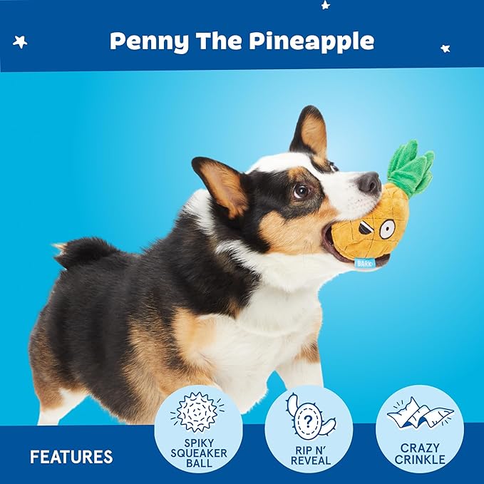 Barkbox Dog Toy 2 in 1 Interactive Plush Exterior with Squeaker & Crinkle Material, Tearable Dog Toy with Squeaky Spikey Ball Inside, Ideal for Toy Destroyers - Penny The Pineapple, Small