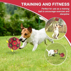 Dog Toys Soccer Ball with Straps, World Cup Interactive Dogs Toys for Tug of War, Yard Game, Water Toy, Herding Ball for Dogs, Durable Dog Balls with Skull Pattern for Puppy（6 Inch）