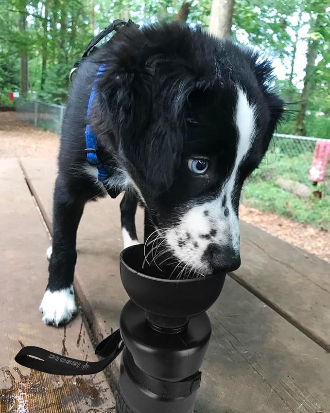 Lesotc Dog Water Bottle, Portable Water Dispenser with Travel Water Bowl, Leak Proof Pet Travel Squeeze Bottle, Puppy Essentials Dog Stuff Accessories for Outdoor Walking, Hiking, Camping