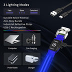 LED Dog Collar with Metal Buckle - USB Rechargeable Glow Collar for Dogs, Waterproof Light Up Dog Collar w/Reflective Strips - Adjustable Night Safety Collars by PetIsay(Blue,Large)