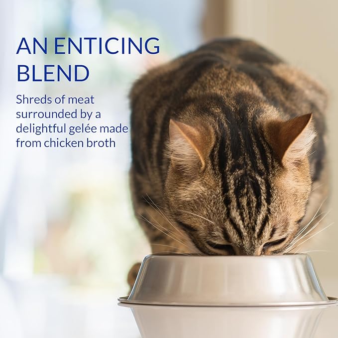 INABA Churu Stew for Cats, Side Dish Pouch with Vitamin E, 1.4 Ounces per Pouch, 12 Pouches, Chicken with Scallop Recipe