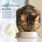 INABA Churu Stew for Cats, Side Dish Pouch with Vitamin E, 1.4 Ounces per Pouch, 12 Pouches, Chicken with Scallop Recipe