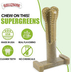 Bullibone SuperBrush: Dog Teeth Cleaning Brushing Toothbrush Stick - Long Lasting Nylon Super Greens Chew Toy for Oral Care and Dental Health