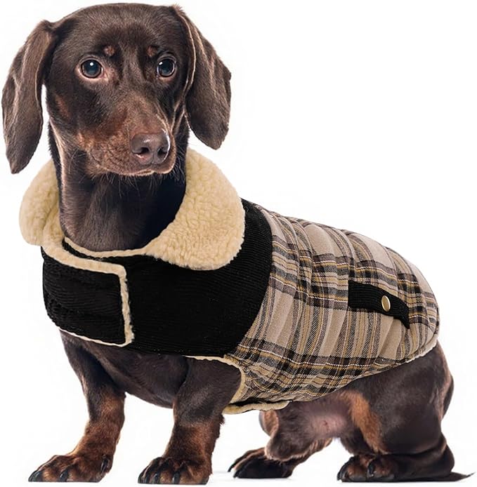 Winter Coat for Medium Dogs, Dog Plaid Jacket, Pets Coat for Cold Weather, Windproof Warm Garments, Pet Thickened Outfits Indoor Outdoor, Beige M