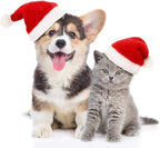 4 Pieces Cat Santa Hat Dog Christmas Hat with Adjustable Chin Cute Christmas Pet Costumes for Dogs Cats Winter Holiday Party Dress up Photo Props Supplies Gifts