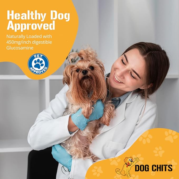 Dog Chits Beef Trachea Chews for Dogs – All-Natural,1 Pound, Healthy Treats for Joint Support, Digestible Rawhide-Free Supplement for Canine Chewers, Dehydrated, Large & Small Dogs, 3-4 Inch Rolls