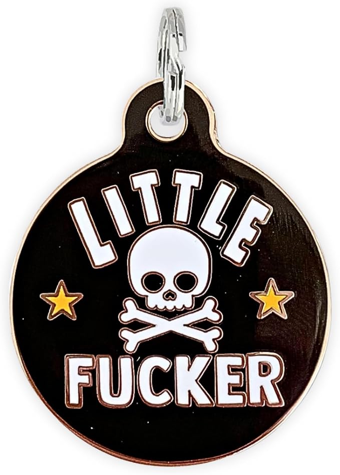 Personalized QR Code Dog Tags - Choose from 25+ Tag Designs - QR Code Links to Your Profile - Unique, Cute, Funny, Sassy Pet ID Tag (Little F*cker, Large (1.25 inch))