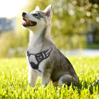 rabbitgoo Dog Harness No Pull with 2 Leash Clips, Adjustable Soft Padded, Reflective Oxford No Choke Pet Vest with Easy Control Handle for Small Dogs, Grey, S