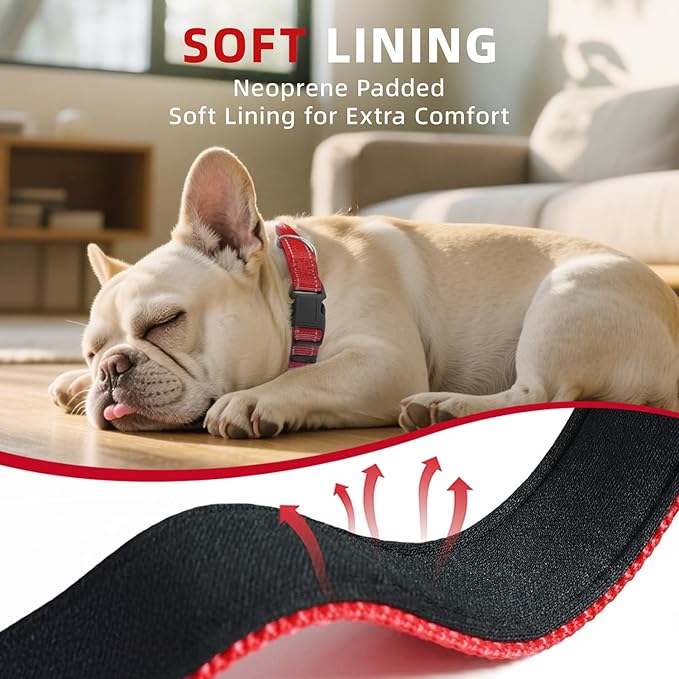Reflective Dog Collar, Soft Neoprene Padded Nylon Pet Collar with Quick-Release Buckle, Adjustable for Mediunm Dogs,Red,M, 3/4" Width