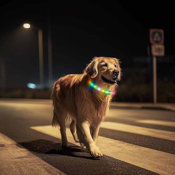 LED Dog Collar, Light Up Dog Collar, USB Rechargeable - Brightest Dog Lights for Night Walking, 6 Light Modes, Adjustable for Dog Safety(Medium, Neon Green)