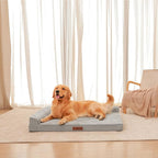 Orthopedic Dog Beds Large Sized Dog, 3 Inch Memory Foam Pet Bed for Medium and Large Dogs, Washable Removable Cover, Nonskid Bottom, Waterproof, 44x32 Inches XXL Light Grey