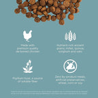 Go! Solutions Digestion + Gut Health, Dry Cat Food, Chicken Recipe with Ancient Grains, 12 lb Bag