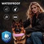 PetIsay LED Dog Collar Metal Buckle - Heavy Duty Light up Collars - Rechargeable IP68 Waterproof - Lighted Dog Collar for Night Walking, Hiking, Camping (Small, Pink)