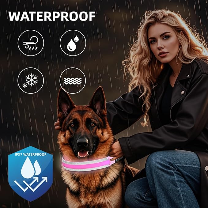 PetIsay LED Dog Collar Metal Buckle - Heavy Duty Light up Collars - Rechargeable IP68 Waterproof - Lighted Dog Collar for Night Walking, Hiking, Camping (Large, Pink)