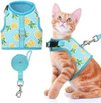 BINGPET Cat Harness - Mesh Cat Dog Walking Harness with Leash - Adjustable Cat Vest Harness for Kittens and Puppies - Pineapple