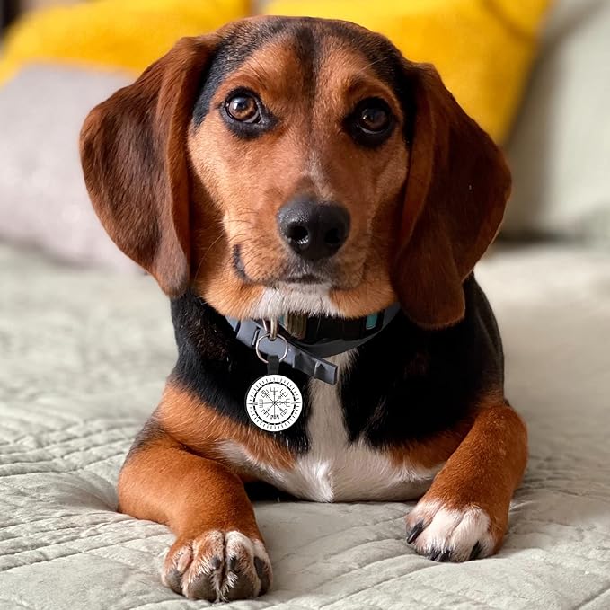 MYLUCKYTAG QR Code Silicone Pet ID Tag for Dogs and Cats - Online Profile, Location Alert Email, Digital and Quiet Tag, Durable Collar ID, Engraved