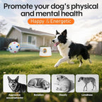 Automatic Ball Launcher for Dogs - Dog Ball Thrower Launcher with 3 Etpu Sphere, 3 Adjustable Distances (20ft/33ft/46ft), Interactive Thrower Machine, Mental Stimulation Dog Toys