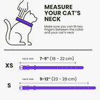 BRONZEDOG Leather Cat Collar with Removable Bells Non Breakaway Kitten QR Tag for Girl Boy (9" - 12" Cats/Mini Dogs, Purple & Gold)