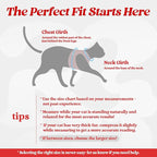 rabbitgoo Cat Harness and Leash Set for Walking Escape Proof, Adjustable Soft Kittens Vest with Reflective Strip for Cats, Comfortable Outdoor Vest, Red, M