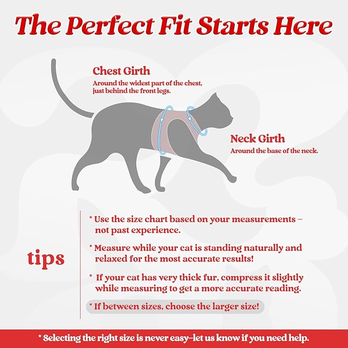 rabbitgoo Cat Harness and Leash Set for Walking Escape Proof, Adjustable Soft Kittens Vest with Reflective Strip for Cats, Comfortable Outdoor Vest, Red, M